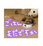もんじゃ！（個別スタンプ：2）