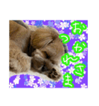 もんじゃ！（個別スタンプ：7）