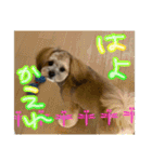 もんじゃ！（個別スタンプ：8）