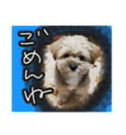 もんじゃ！（個別スタンプ：12）