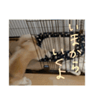 もんじゃ！（個別スタンプ：13）