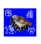 もんじゃ！（個別スタンプ：14）