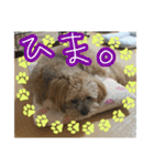 もんじゃ！（個別スタンプ：17）