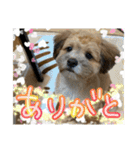 もんじゃ！（個別スタンプ：18）