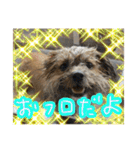 もんじゃ！（個別スタンプ：19）