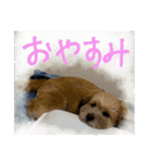もんじゃ！（個別スタンプ：21）