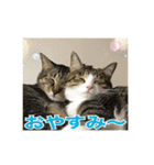ぴよ＆トロ（個別スタンプ：4）