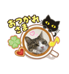 ぴよ＆トロ（個別スタンプ：7）