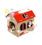 ぴよ＆トロ（個別スタンプ：24）