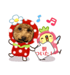 トイプー❤️ショコロン❤️家族用（個別スタンプ：4）