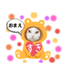 猫のぺろさん（個別スタンプ：4）