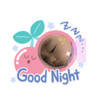 とっくん'sスタンプ（個別スタンプ：3）