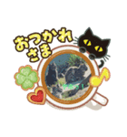 のらにゃンズ＋ポンちゃん（個別スタンプ：7）