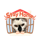 鼻黒ハッピー（個別スタンプ：3）