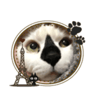 鼻黒ハッピー（個別スタンプ：7）