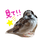 とりーず2（個別スタンプ：1）
