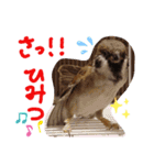とりーず2（個別スタンプ：3）