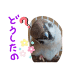 とりーず2（個別スタンプ：4）