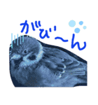 とりーず2（個別スタンプ：7）