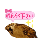 とりーず2（個別スタンプ：8）