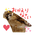 とりーず2（個別スタンプ：9）