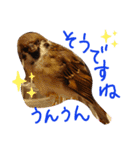 とりーず2（個別スタンプ：12）
