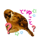 とりーず2（個別スタンプ：13）