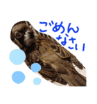 とりーず2（個別スタンプ：15）