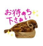 とりーず2（個別スタンプ：16）