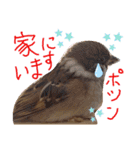とりーず2（個別スタンプ：17）