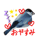とりーず2（個別スタンプ：18）