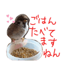 とりーず2（個別スタンプ：19）