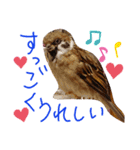 とりーず2（個別スタンプ：20）