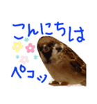 とりーず2（個別スタンプ：22）