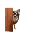3チワワン（個別スタンプ：4）