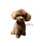 ちゃたろだもの2（個別スタンプ：4）