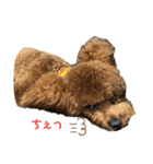 ちゃたろだもの2（個別スタンプ：12）