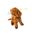 ちゃたろだもの2（個別スタンプ：13）