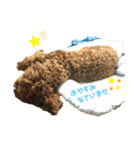 ちゃたろだもの2（個別スタンプ：18）