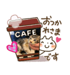 楓華とゆかいな仲間たち（個別スタンプ：1）