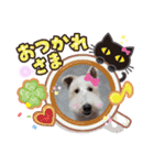 ワイヤーフォックステリア♥️ジジ（個別スタンプ：7）