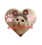 にゃんず中毒（個別スタンプ：1）
