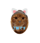 にゃんず中毒（個別スタンプ：2）