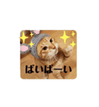 にゃんず中毒（個別スタンプ：4）