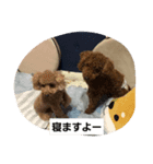 イヌタンプ（個別スタンプ：1）