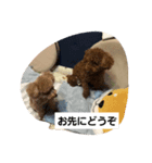 イヌタンプ（個別スタンプ：2）
