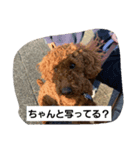 イヌタンプ（個別スタンプ：8）