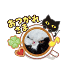 エキゾチック☆にゃんこ（個別スタンプ：39）