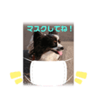 パピヨンのリロ♪エチケット特集！（個別スタンプ：4）