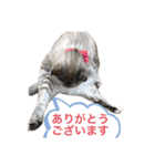 はるちゃんビジネスversion（個別スタンプ：5）